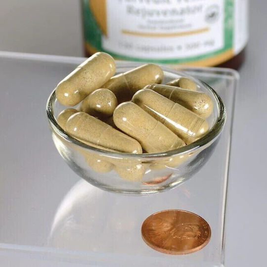 Swanson Shatavari Wurzel Extrakt 500mg 120 Kapseln