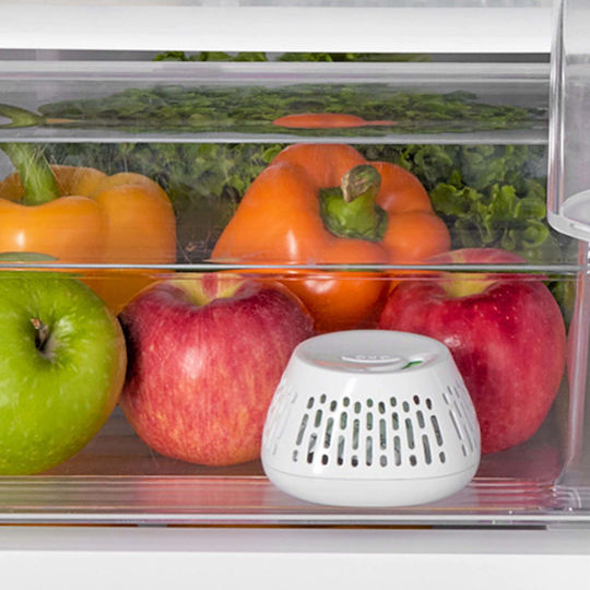 OXO Closed Container Fridge Organiser for Fruits & Vegetables 8.25x13.71x26.9cm