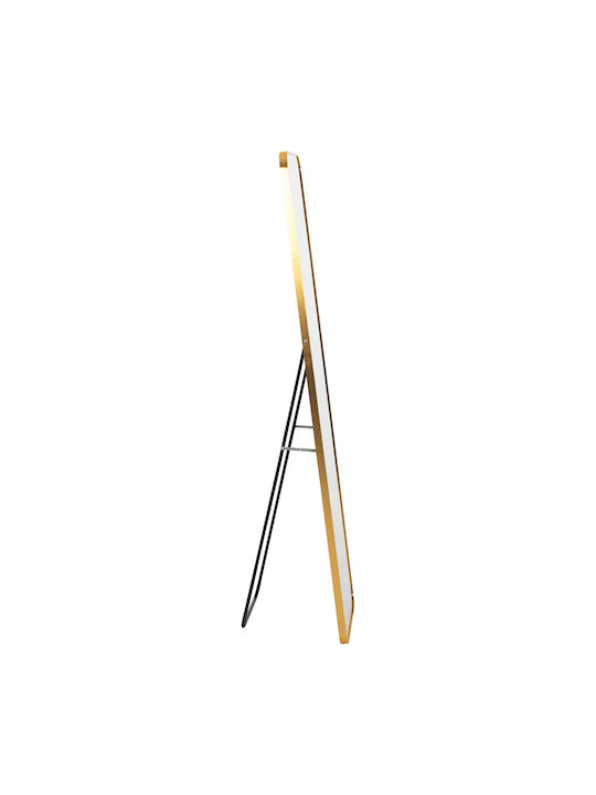 HomeMarkt Boely Boden- oder Standspiegel mit Gold Aluminium Rahmen 160x39cm