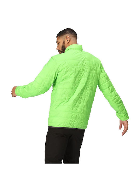 Regatta Hillpack Geacă pentru bărbați de iarnă Puffer Impermeabil Verde