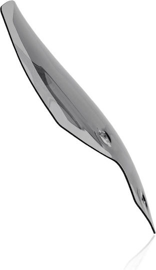 WRS Vizieră colorată motocicletă pentru Honda Tigru pentru Triumph Tigru TR003F