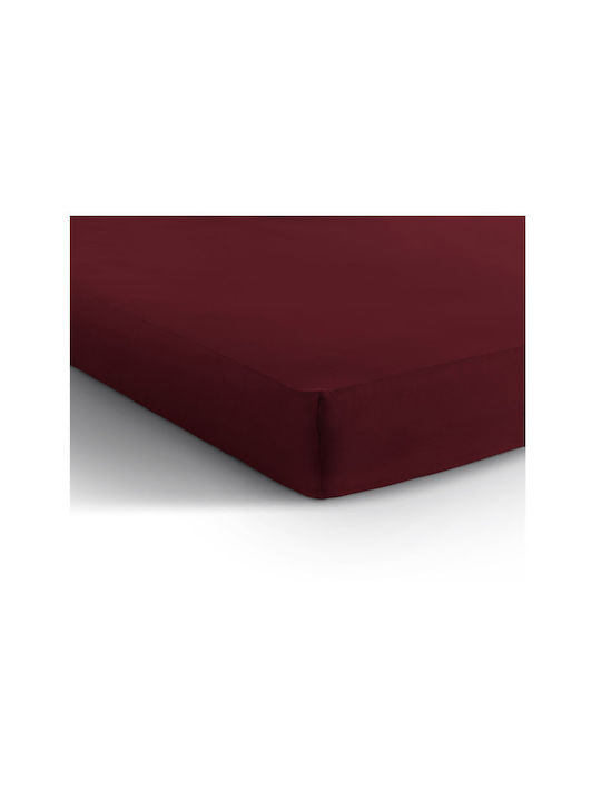 DreamHouse Cearșaf Super dublu cu Elastic 160x200+30cm. Bordeaux