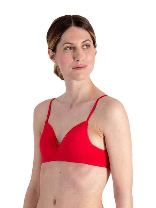 After Eden Bra without Underwire Grey Light/Fuchsia