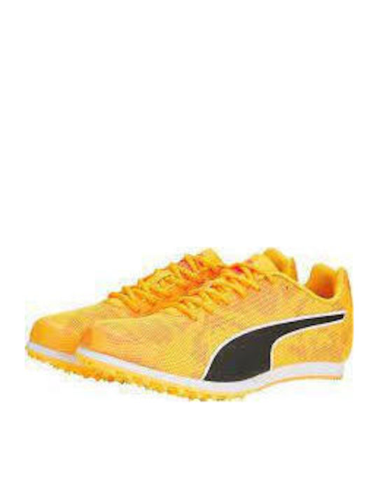 PUMA PUMA
