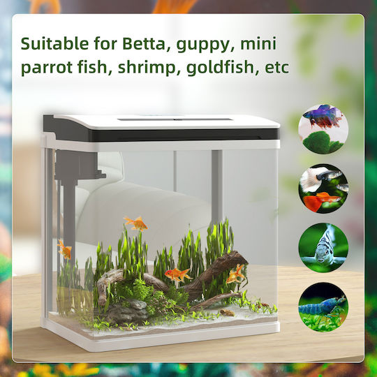 Pawhut Fish Aquarium Capacity 13L with Lighting 61x20x30.5cm White