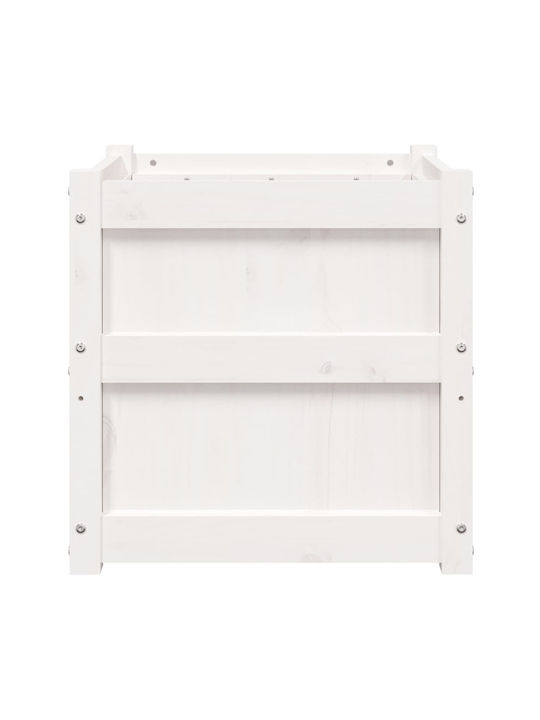 vidaXL Lemn masiv Planter Box Lemn Alb 50x50x50cm.