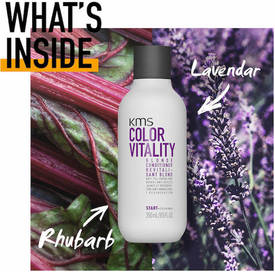 KMS Colorvitality Blonde Haarspülung Farbschutz 250ml