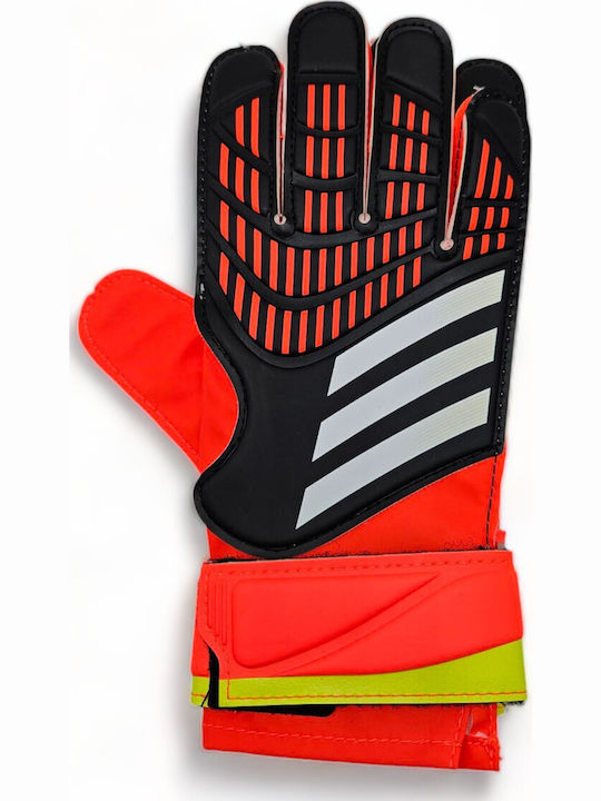 adidas Predator 20 Training Adults Goalkeeper Gloves Multicolour
