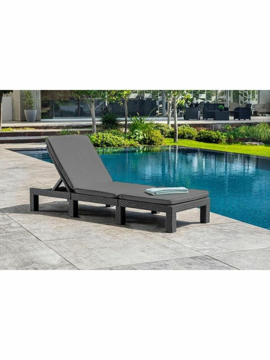 Ξαπλώστρα Rattan Γκρι 187x58x29εκ.