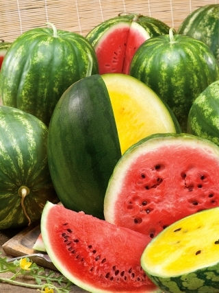 Σπόροι Καρπουζιού Citrullus Lanatus 2gr