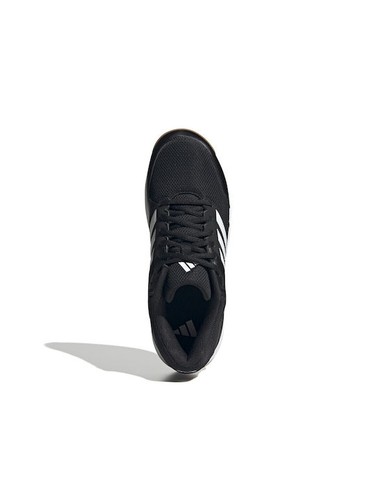 Speedcourt Sport Shoes Volleyball Black