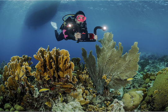 Sealife Flex Connect για Action Cameras