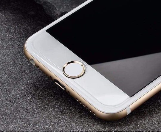 Tempered Glass (OnePlus 8)