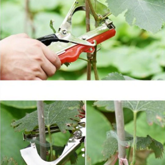 Plant Ties 105828