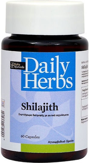Himalaya Wellness Daily Herbs Shilajith 60 κάψουλες