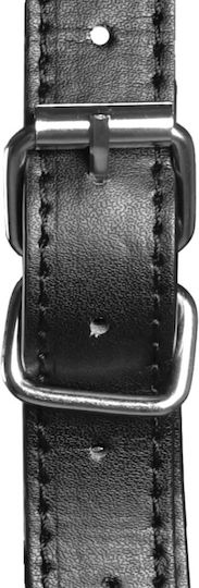 Shots Gag in Black Color