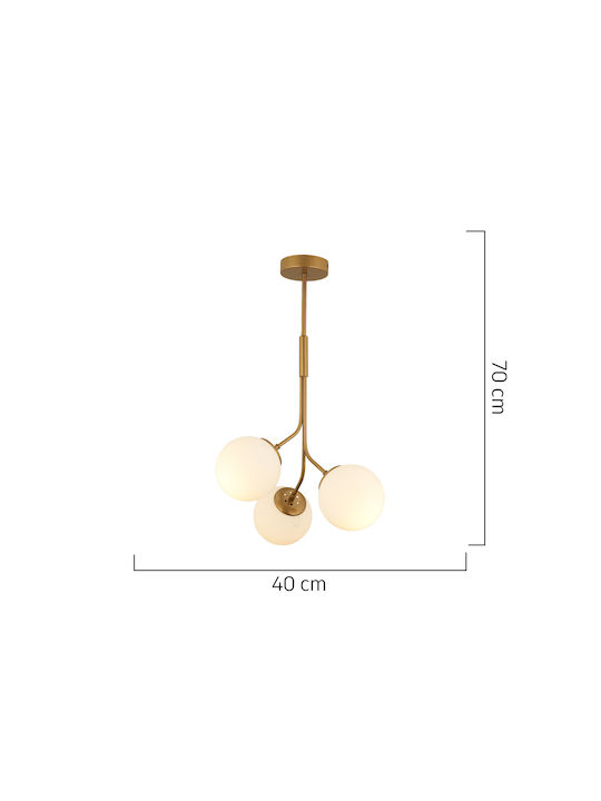 ArteLibre Mensa Pendant Light Gold with Socket E27 40x40x70cm