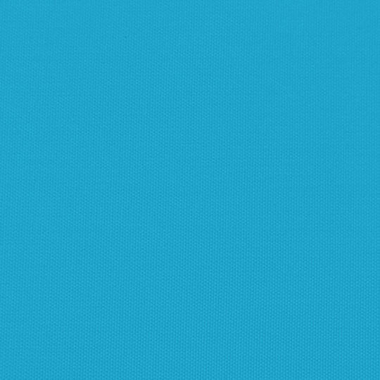 Vidaxl Anhänger Für Fahrräder Schwarze Blaue 45 Kilo Eisen