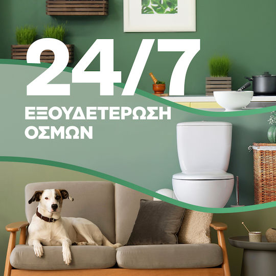 Airwick Спрей устройство с аромат Лавандула и лайка 250мл