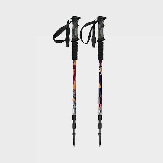 CMP Telescopic Trekking Pole Bern Multicolour