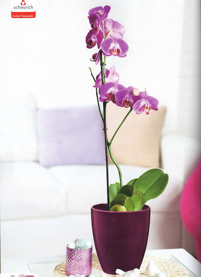 Blumentopf Keramik Lila