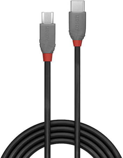 Lindy USB 2.0 Cable USB-A male - Μαύρο 2m 36892