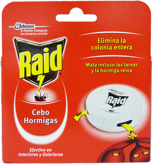 Raid Fallen 1cm Raid Fallen 1cm