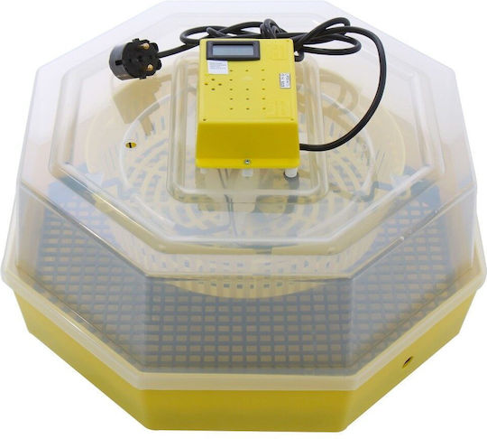 Cleo 5TH Incubator Ouă 60 ouă