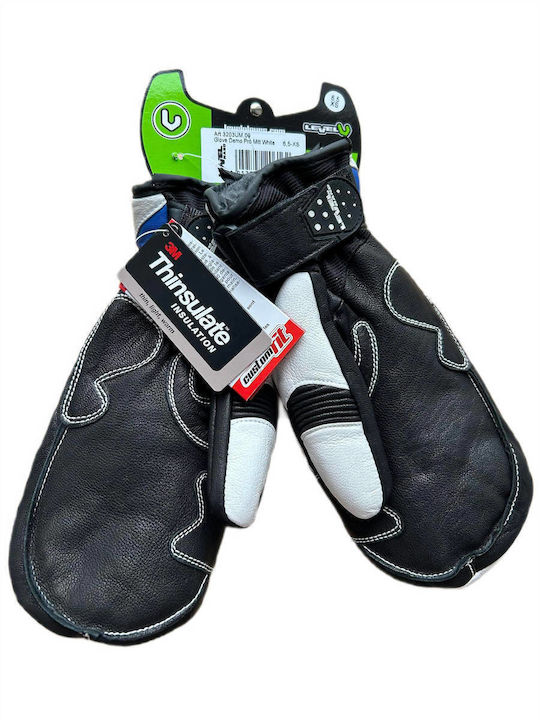 Level Demo Pro Mittens Ανδρικά Γάντια Σκι & Snowboard Πολύχρωμα