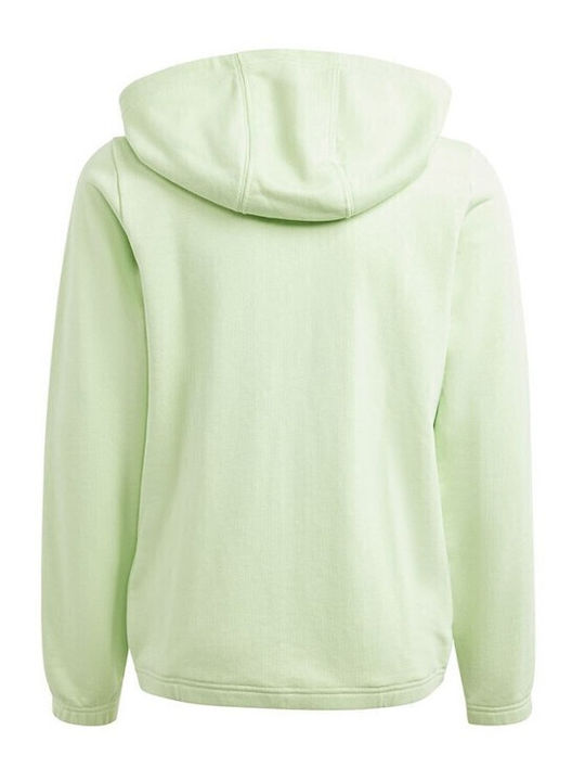 Athletic Kids Sweatshirt Cardigan Cotton with Hood Green