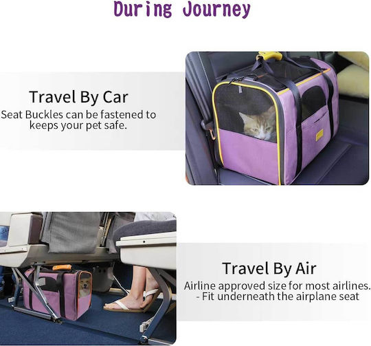Morpilot Dog/Cat Carrying Blue Shoulder Bag for 7kg Pets