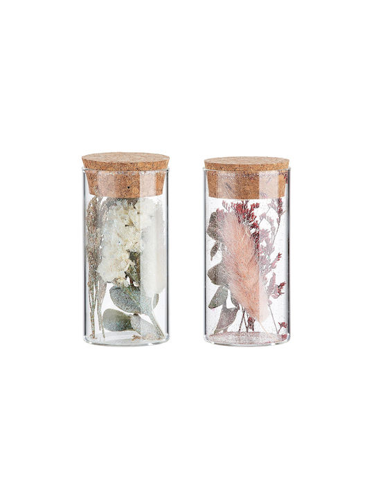 Dried Plant Transparent 10cm in Yala ArteLibre