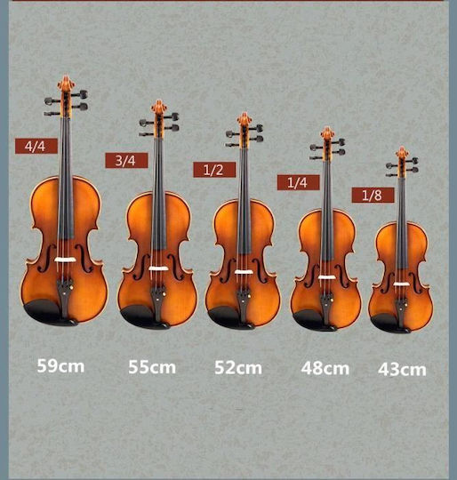 3/4 Vioară