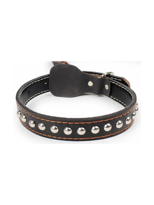 Dog Collar Leather in Black color 110cm