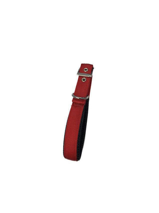 Pet Camelot Κολάρο 20mm x 45cm (Διάφορα Χρώματα) Pet Camelot Κολάρο 20mm x 45cm (Διάφορα Χρώματα)