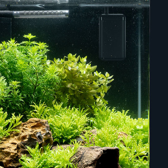 Dennerle Nano Θερμοστάστης Ενυδρείου 75W