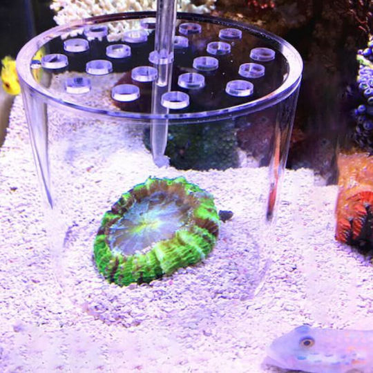 Aquarioom Capac Acvariu 1 Buc