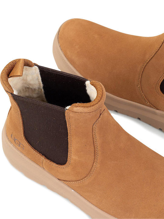 Burleigh Brown Chelsea Boots Waterproof