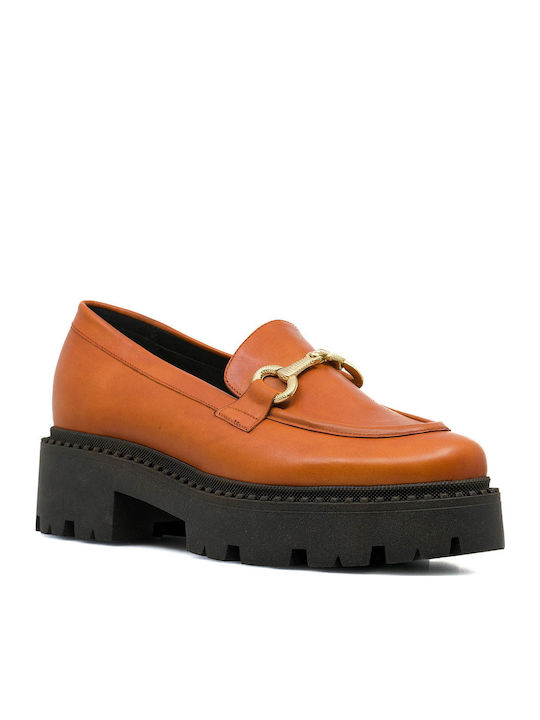Bacali Collection
