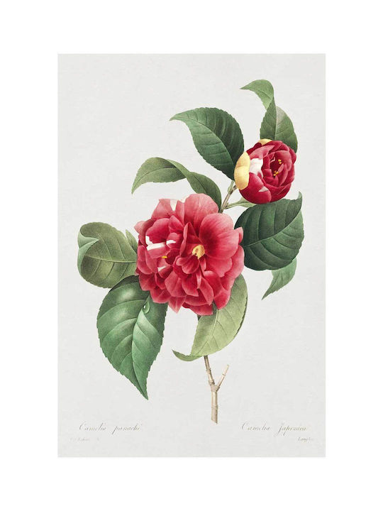 Choix Des Картина Платнен 40x50см