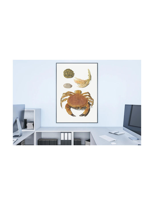A Crab, A Pair Of Crab Claws And Two Turtle Shells By Johann Gustav Hoch (1716–1779) Gemälde auf Leinwand 40x65cm