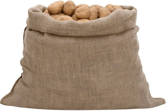 vidaXL Jute Olive Harvesting Bags 100x110cm 10pcs