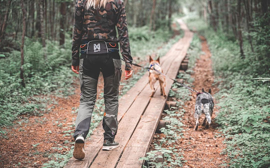 Non-stop dogwear Lesă/Odihnă Câine Curea Trekking Belt 2.0 Small 74-85 cm Neagră