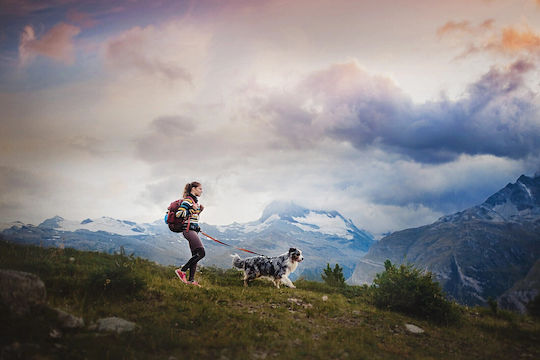 Non-stop dogwear Lesură/Odihnă Pentru Câine Antrenament Curea Trekking Belt 2.0, Mediu 85-138 cm În Culoare Neagră