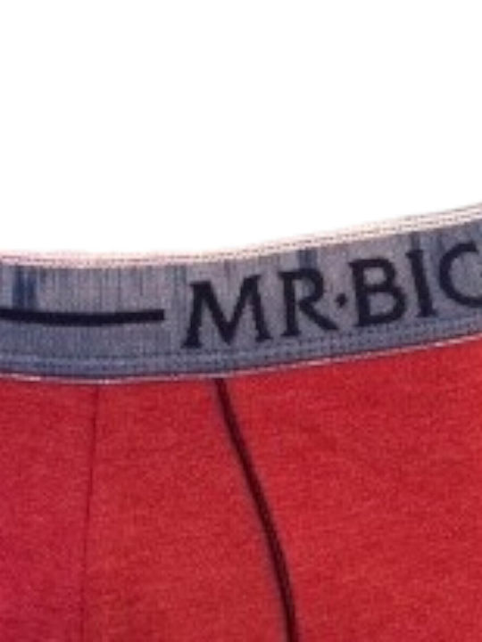 Mr.Big Herren Boxershorts Bordeaux 1Packung