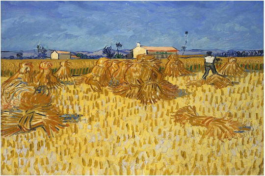Vincent Van Gogh - Corn Harvest In Provence Painting Copy of Van Gogh on Canvas 50x40cm