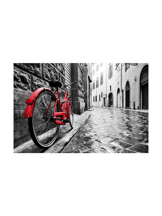 Afiș Bicicletă Roșie 120x80cm
