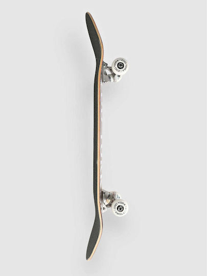 Zoo York Sunrise 8.25" Complete Shortboard Πολύχρωμο