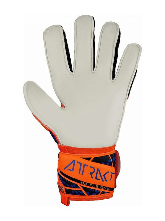 Reusch Reusch Attrakt Solid Adults Goalkeeper Gloves Orange
