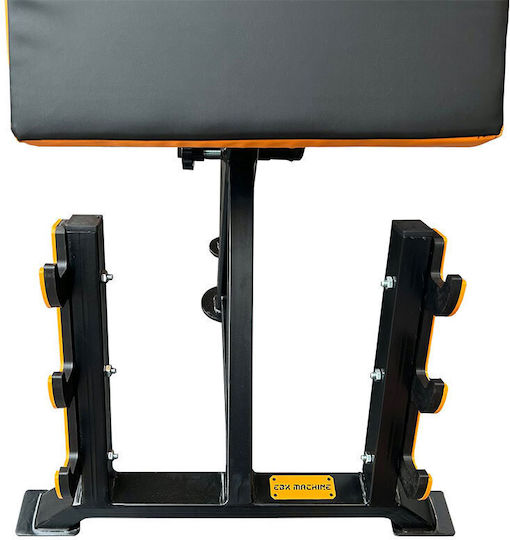eBoxing Adjustable Workout Bench for Biceps